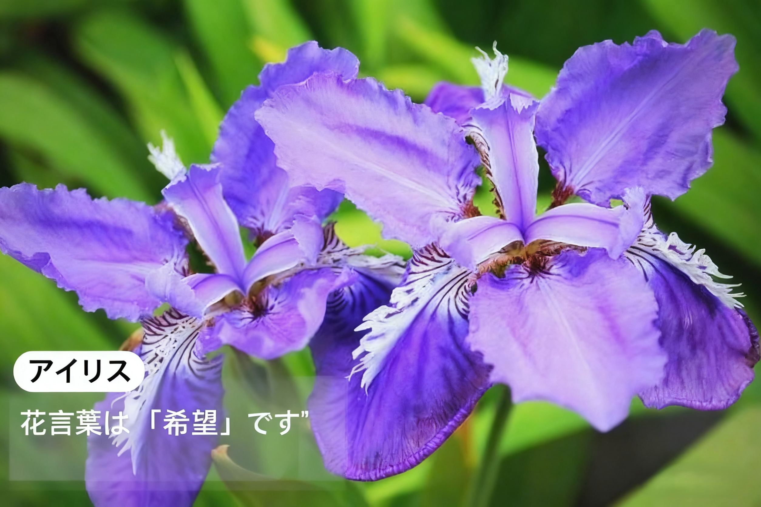 知識注釈-AI生成画像